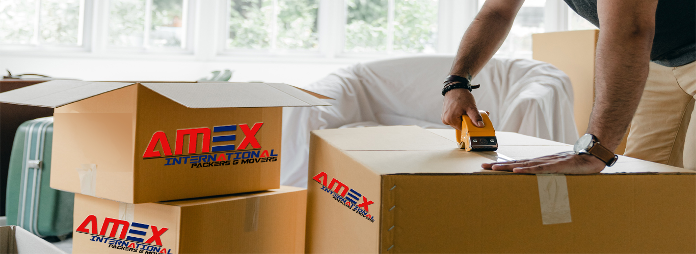Movers Packers in Noida